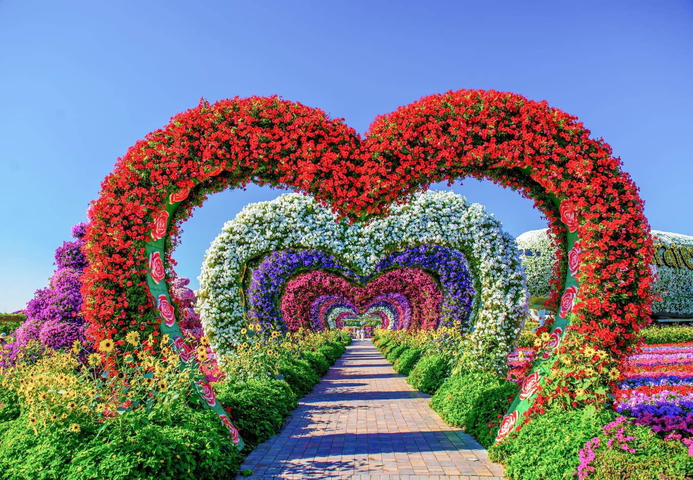 Dubai Miracle Garden
