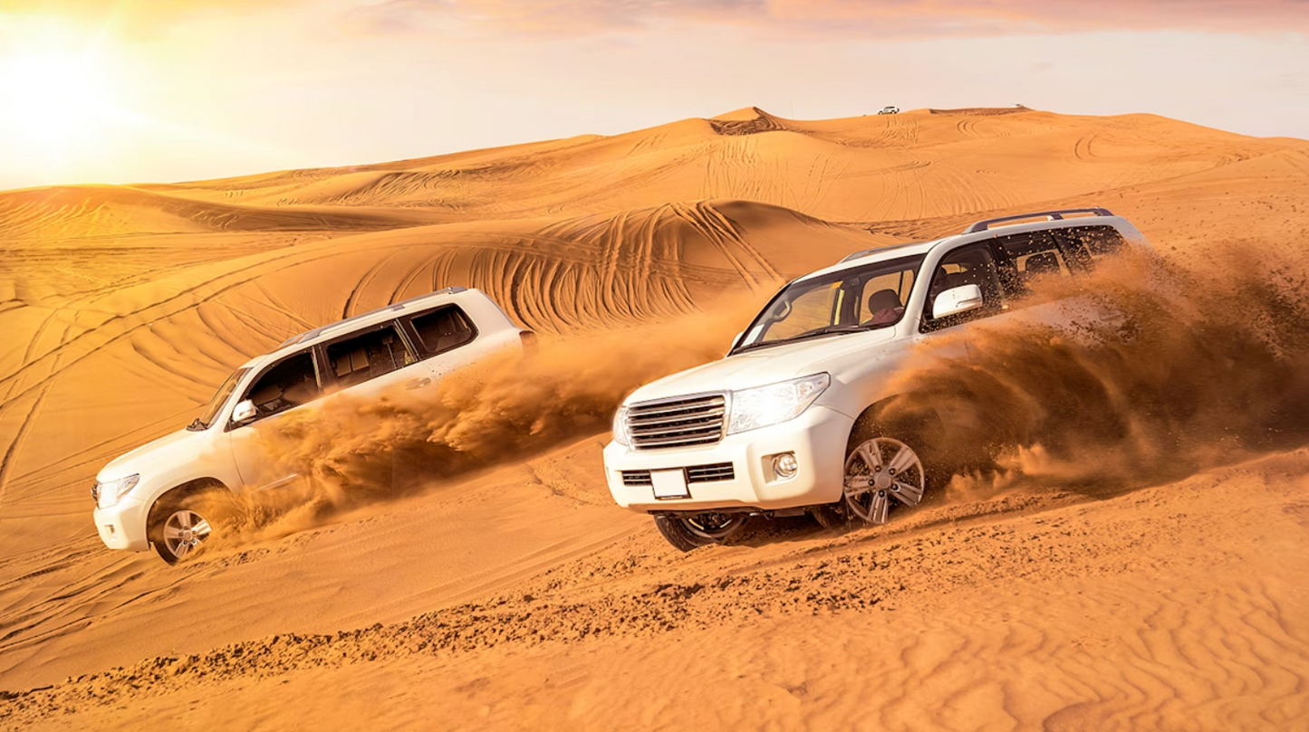 Desert Safari (Private)