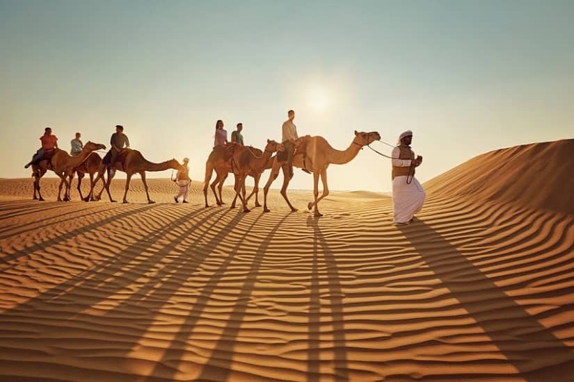 Desert Safari (Private)